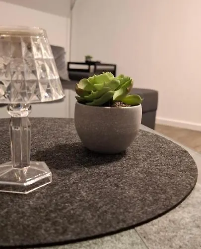 公寓 Modernes 2 City-apartment In - Nahe Autostadt, Parkplatz & Wlan, Citystay Gti 沃尔夫